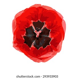 Flower poppy red
