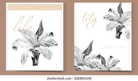 Flower poster, lily line art, botanical print, postcard, cover, invitation in pastel colors with black and white graphics