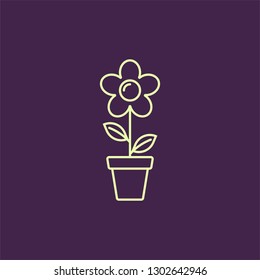 Flower in pot