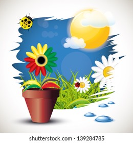 Flower in a pot