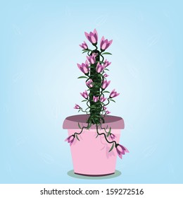 Flower  pot