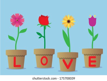 flower in pot