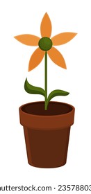Flower Pot