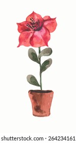 flower in pot 