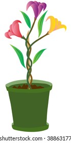 flower pot