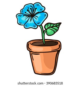 flower in the pot