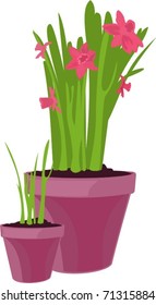 flower pot 3