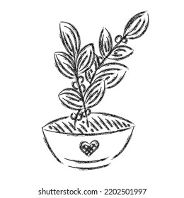 Flower in pot, black line sketch on a white background. Vector drawing lines