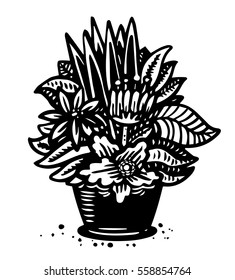 Flower pot, black and white