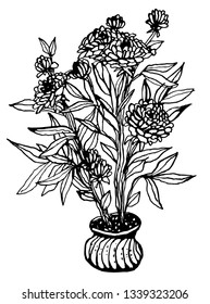 A flower in a pot black and white vector