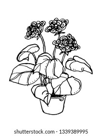 A flower in a pot black and white vector
