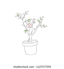 flower pot bonsai vector doodle line