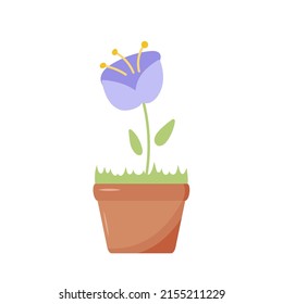 Flower in pot. Botanical home decoration flowers and leaves recent vector nature illustrations. Indoor flower growing in flower pots and planters