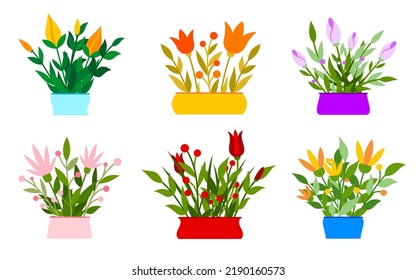 Flower pot bouquet plant floral colorful flat set. Delicate design greeting card invitation banner. Romantic cute sticker background save date valentine day label spring party signboard isolated