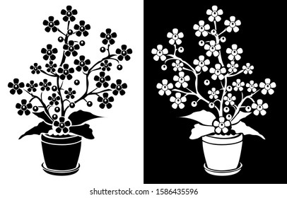 Flower pot with branch of petals and leaves with black and white backgrounds