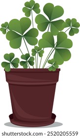 Flower pot with clover. Clover for good luck