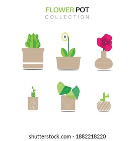 flower Pot Collection Pack With Beautiful Colors