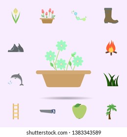 Flower in a pot colored icon. Universal set of nature for website design and development, app development