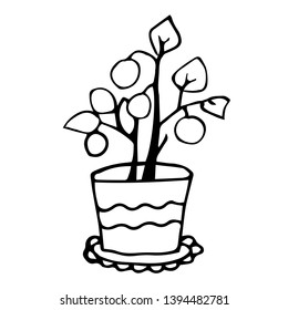 Flower pot. Coloring book vector illustration