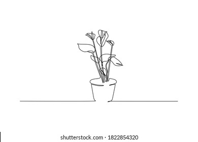 Flor en la olla - Dibujo continuo de una línea.