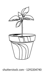 flower pot contour vector illustration