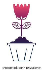 flower in pot decoration interior ornament