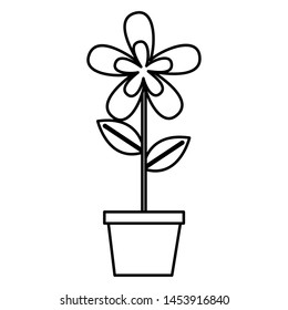 flower in pot decoration white background vector illustration