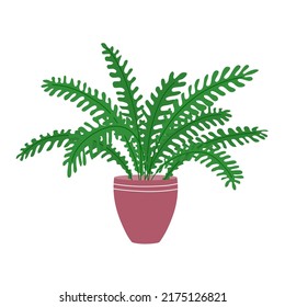 Flower pot with decorative fern. Home and office plant. Object of a room interior. Flat vector illustration isolated on white background