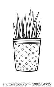 Flower pot with decorative grass, plant. Hand drawn simple black outline vector illustration in cartoon doodle style, isolated. Design element, clip art for decoration, coloring page