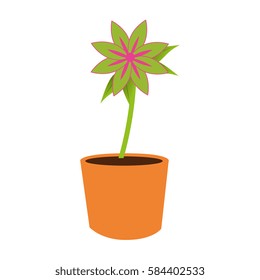 flower pot decorative icon