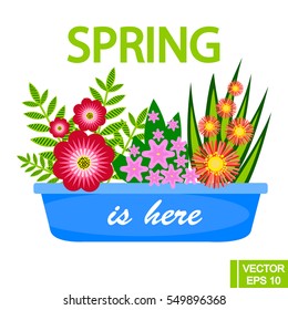 Flower pot with different colorflowers, spring concept. Vector illustration for banners, posters, menu, spring and summer sales, stickers, etc.