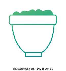flower pot with earth