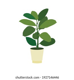 Flower Pot ficus in pot icon art design element stock vector illustration for web, for print, for flower shop, for packaging design