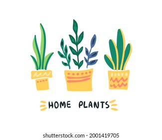 Flower pot flat cartoon style. Vector illustration. Cute bright flower pots. home comfort. Nice plants