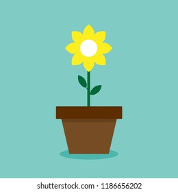 Flower in a pot in a flat style. Icon of a flower. Yellow flower. Growth