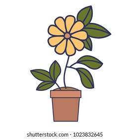 flower in pot floral decoration