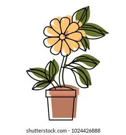 flower in pot floral decoration
