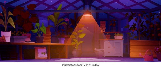 Flower pot in greenhouse garden interior at night. Home green farm with plant on shelf and table. Conservatory glass room with wood furniture. Flowerpot cultivation inside store patio background