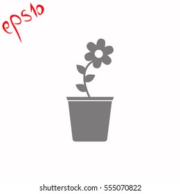 Flower pot grey icon.