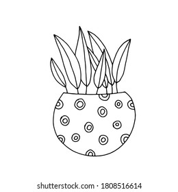 Blume in einem Topf, handgezeichnet im Doodle-Stil.