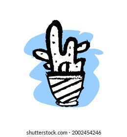 flower in a pot for home - isolate on a white background. to grow plants. garden