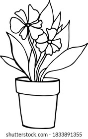 flower in the pot, house, line art, black and white sketch, hand draw illustration