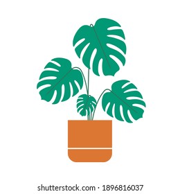 Flower in a pot. Houseplant icon. Monstera isolated on white background. Vector illustration.