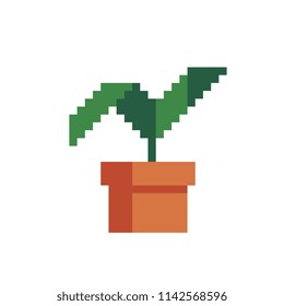 Flower pot with houseplant, pixel art icon, isolated vector illustration. Interior detail. Game assets. 8-bit.