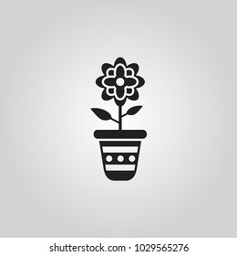 Flower in pot icon