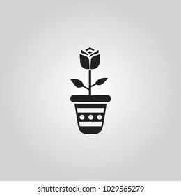 Flower in pot icon