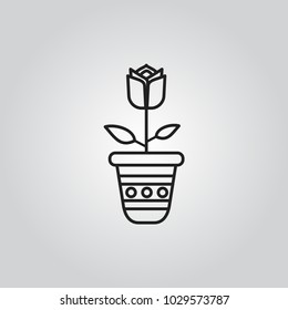 Flower in pot icon