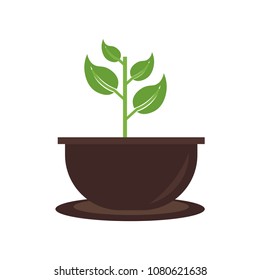 flower pot icon