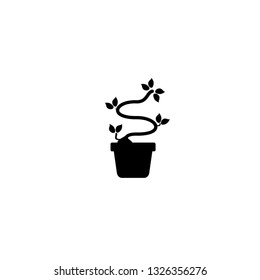 flower in a pot icon