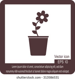 Flower pot icon